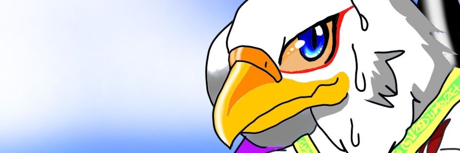 roan_bird's profile banner image
