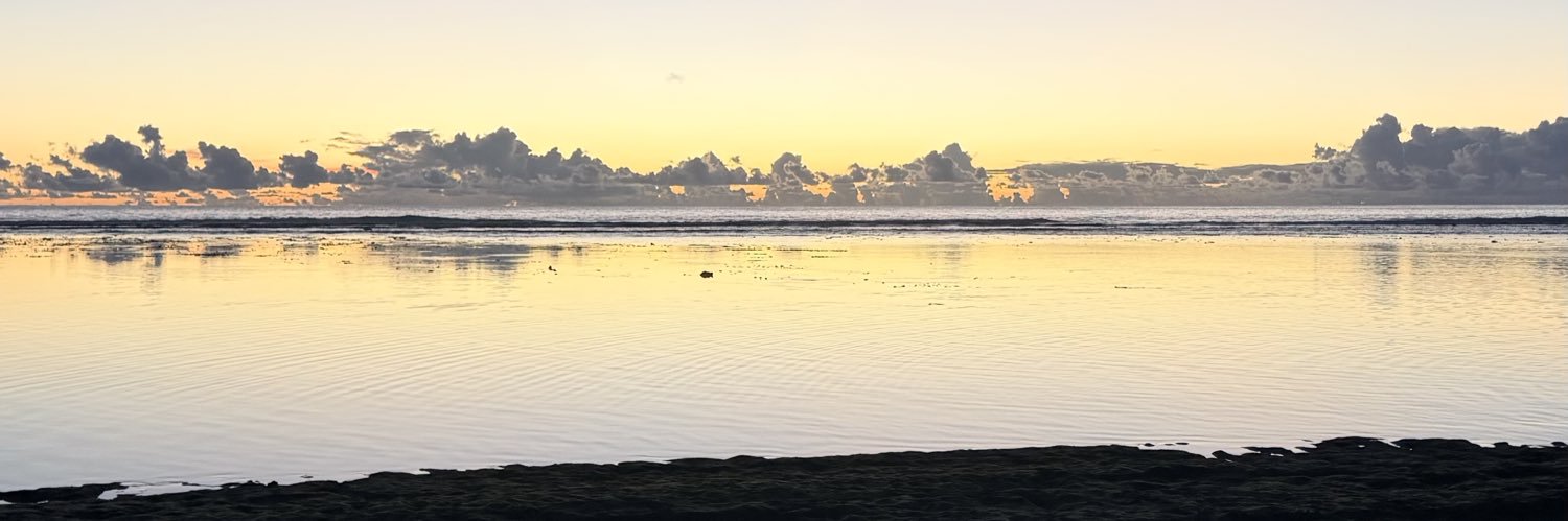 julien banner