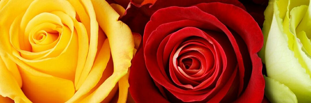 liestiaday's profile banner image