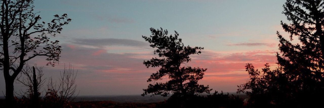 ania_lune's profile banner image