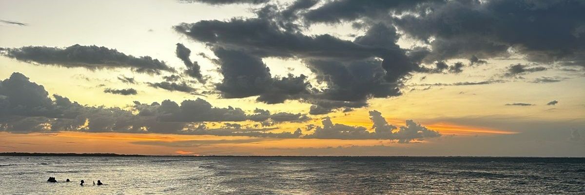 sofisarl's profile banner image