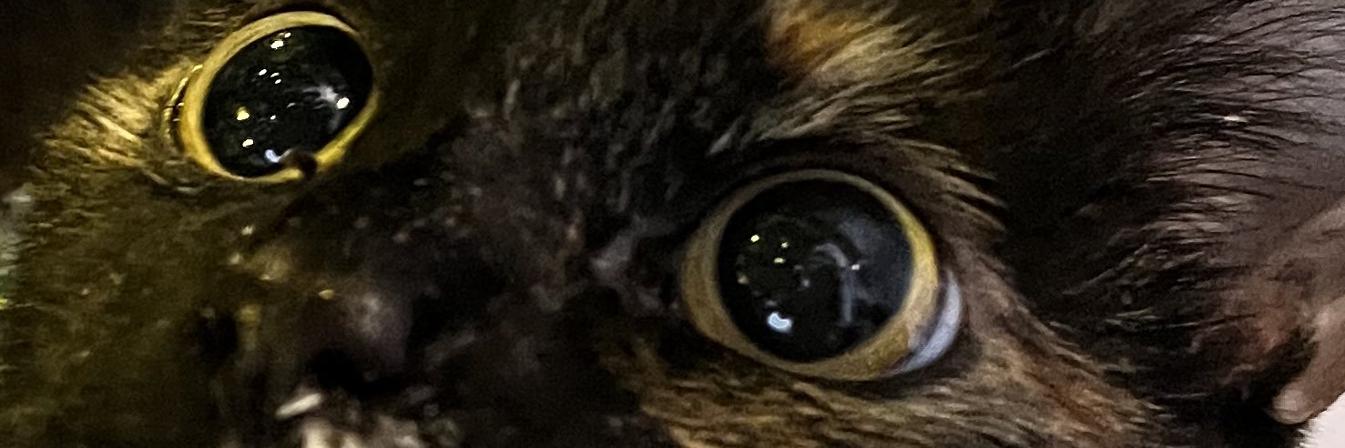 Beffnehhh's profile banner image