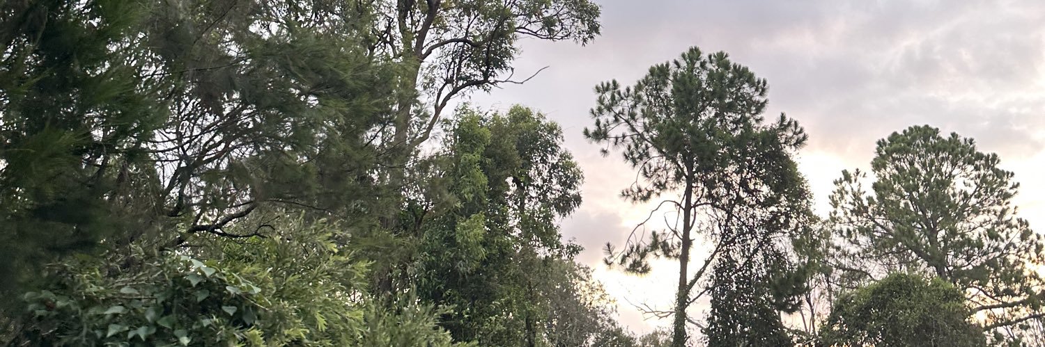 simiik_'s profile banner image