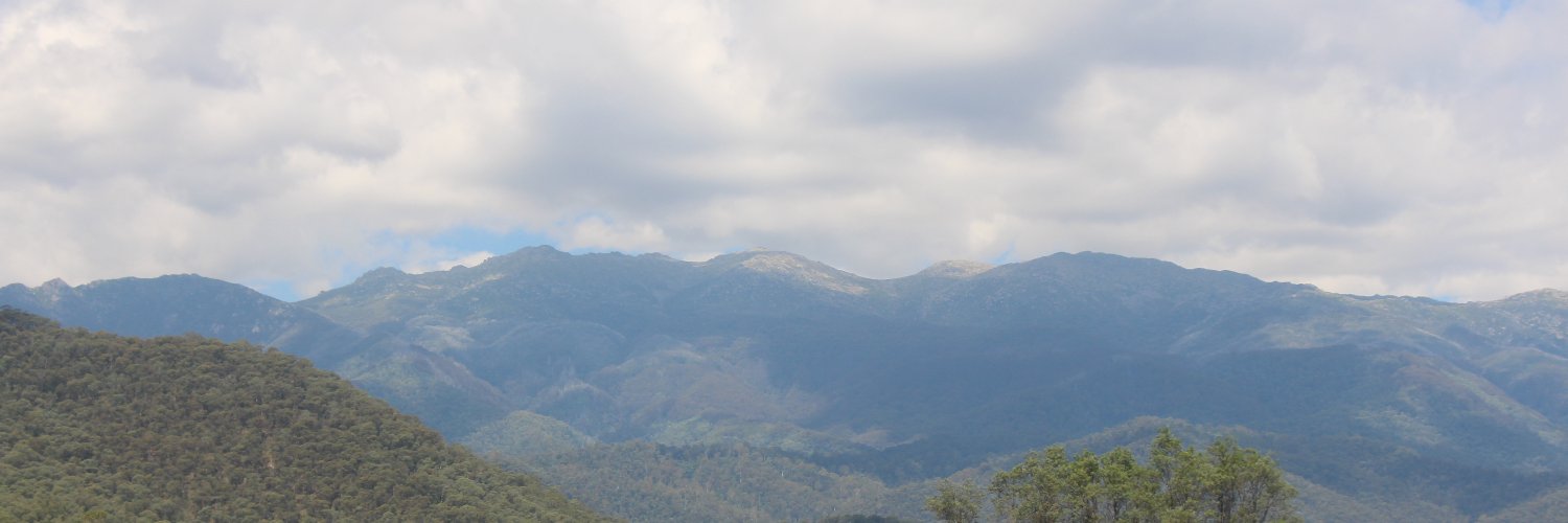 Stef banner