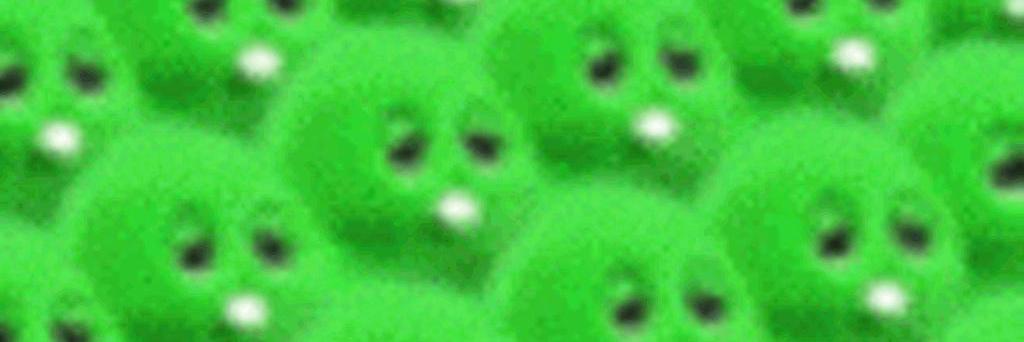 GachiyapinBlog's profile banner image