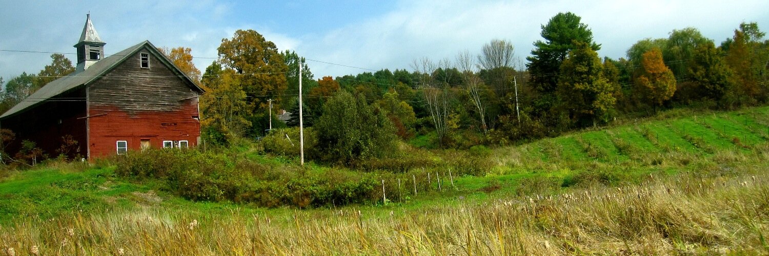 gsealey's profile banner image