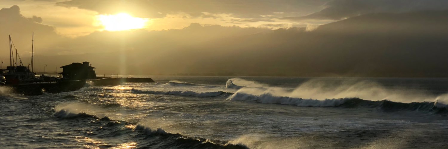 Steve Patterson banner