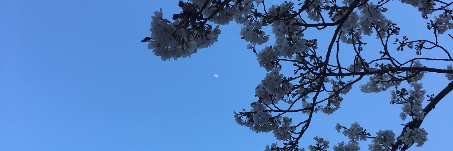 7iro_sky's profile banner image