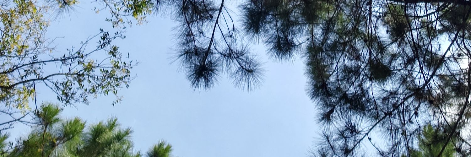 ekamyaa's profile banner image