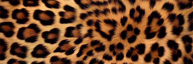 Sky !! | Au Spruan🔸 banner