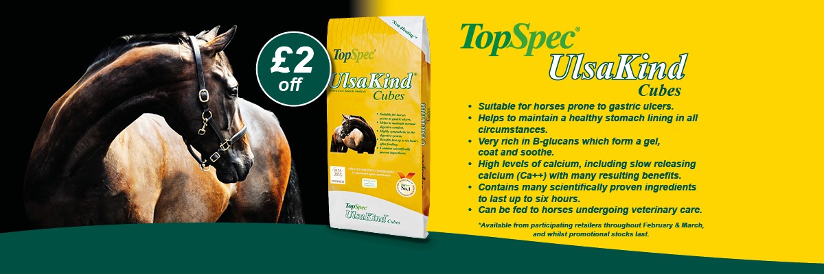 TopSpec banner