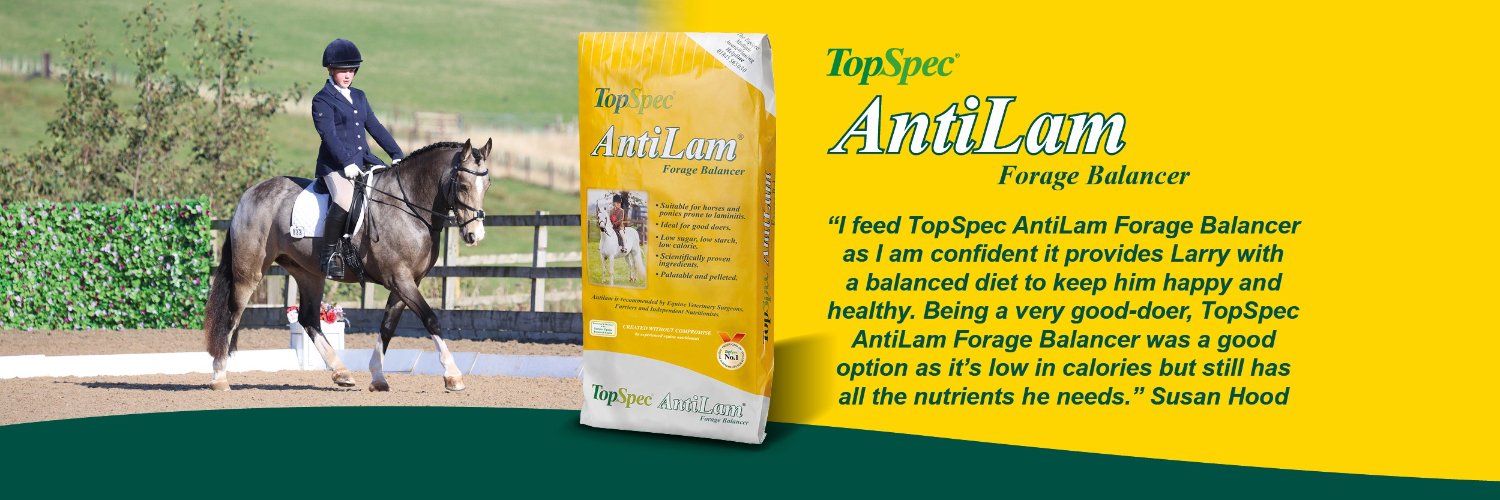TopSpec2's profile banner image
