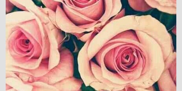 ElizabethRoorda's profile banner image