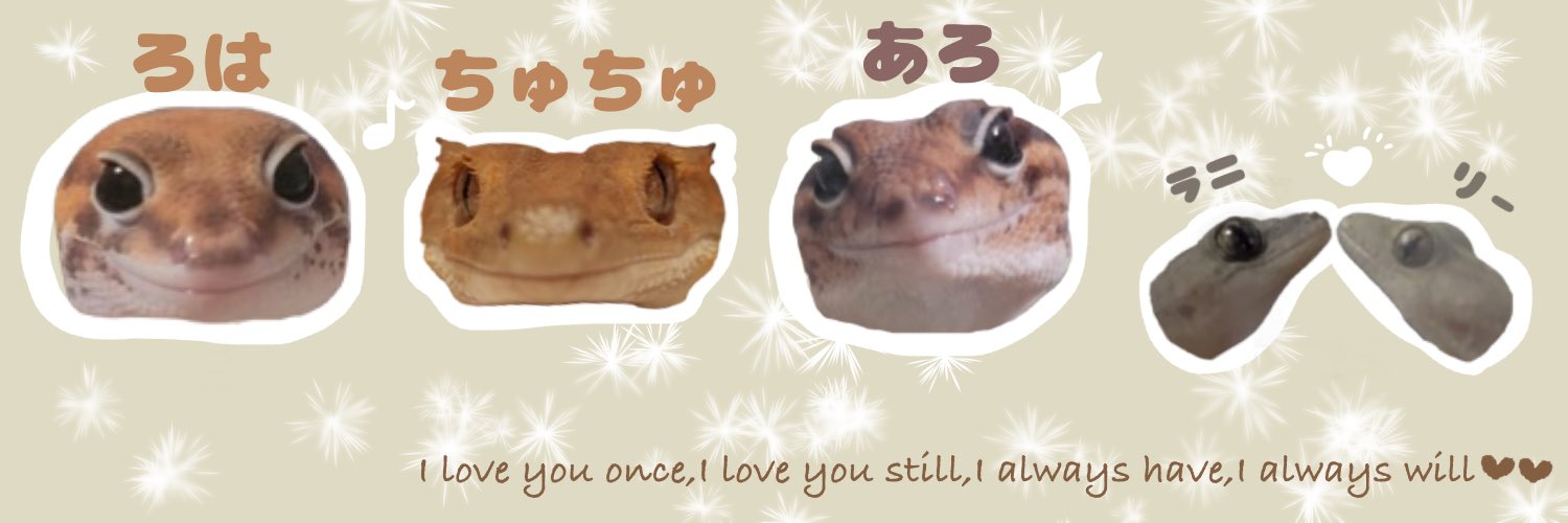 あらみぃ❁*。 banner