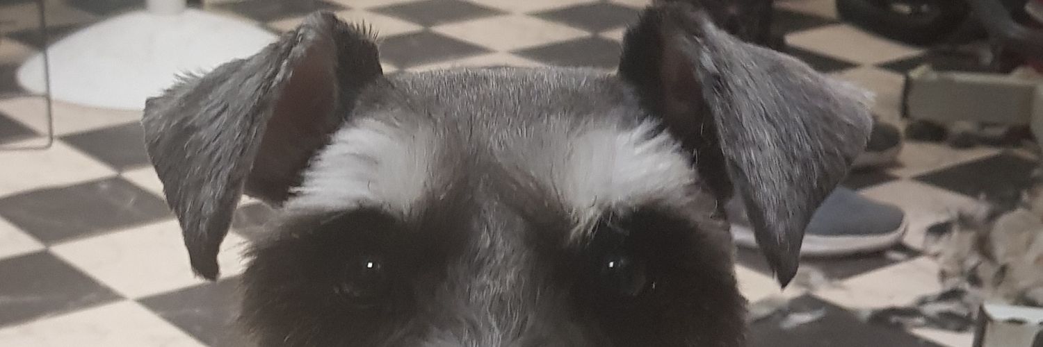 muttugly's profile banner image