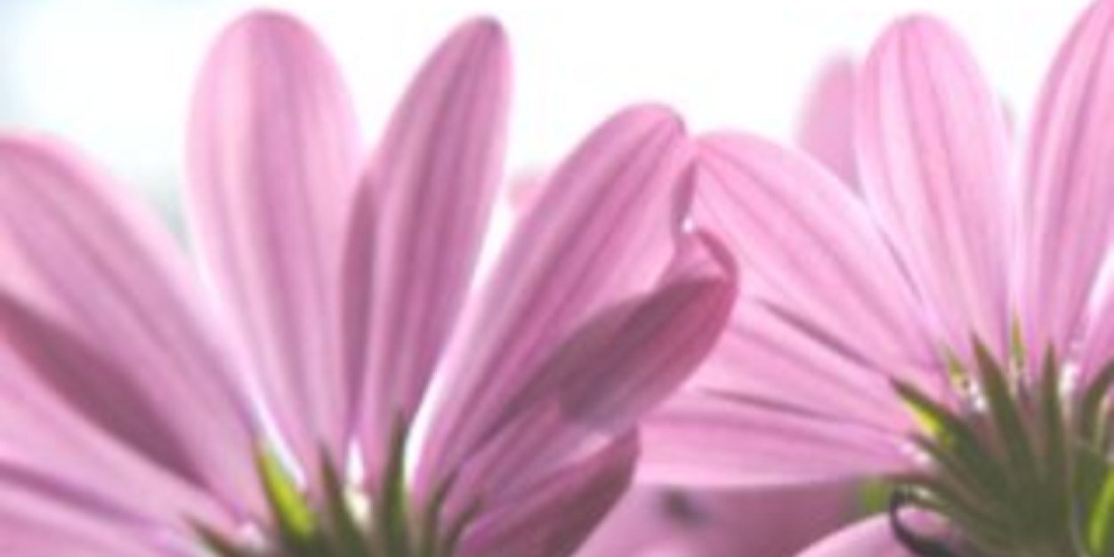 Ale_diRe's profile banner image