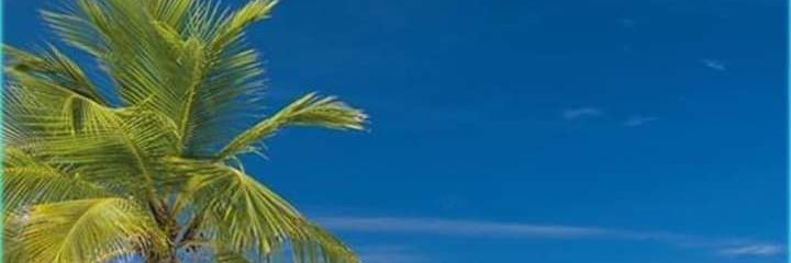 vagonblue's profile banner image