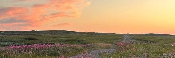 peachybloomiy's profile banner image