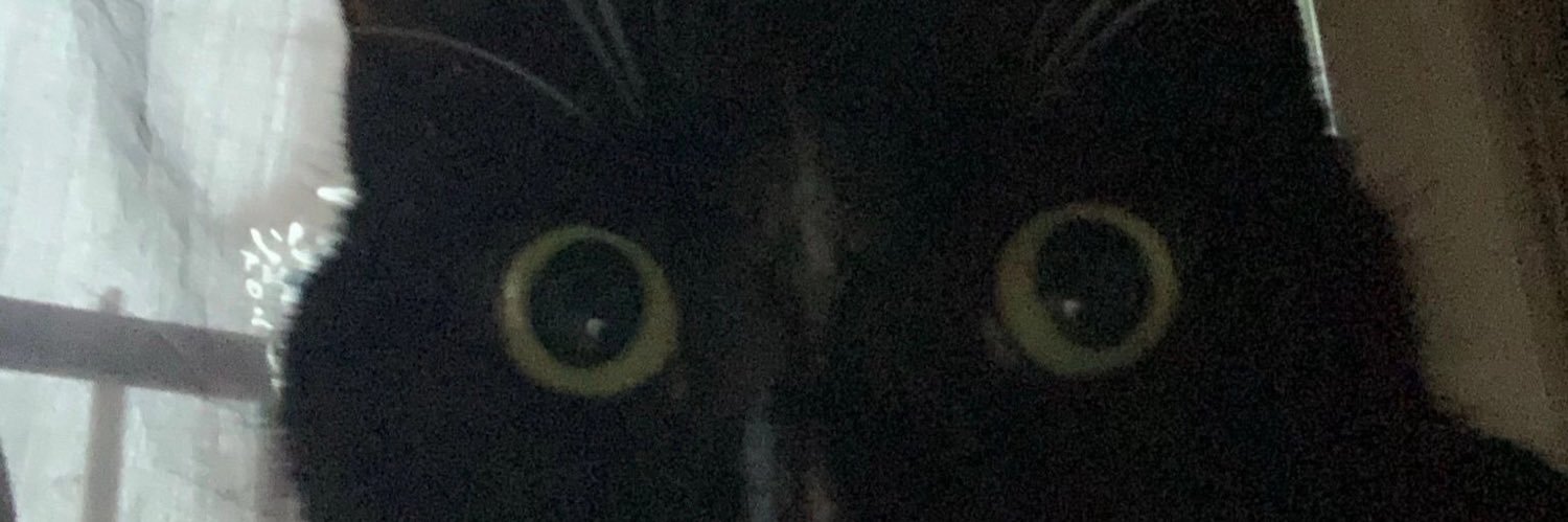 pinkpillie's profile banner image
