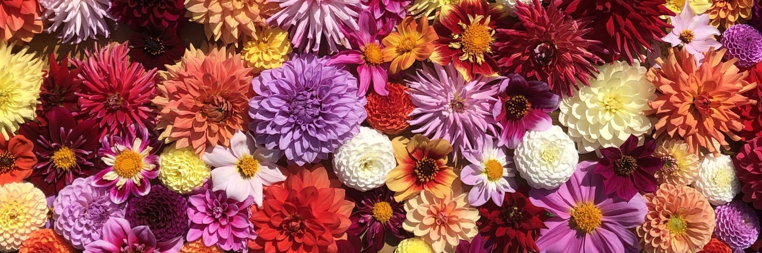 HappyBotanical's profile banner image