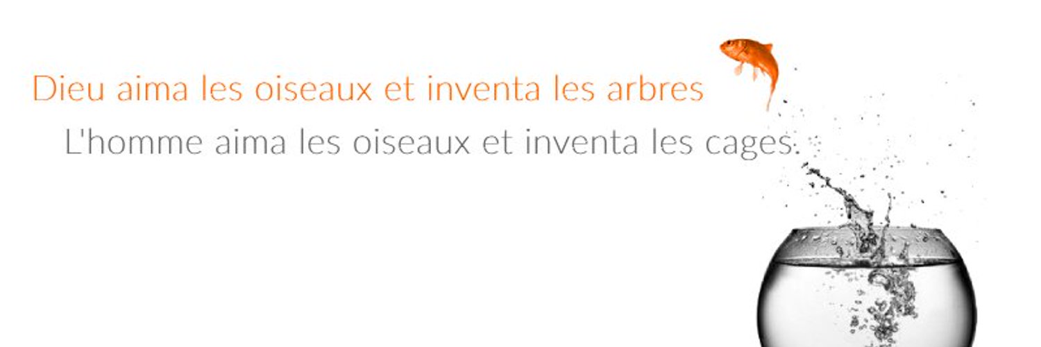 Sylvain J.'s banner
