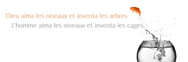 PEGASE83000 Profile Banner