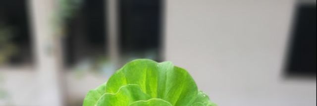 StarkIronQim's profile banner image
