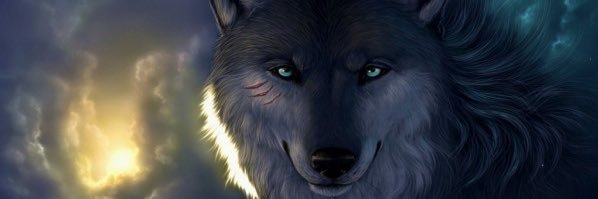 𝕱𝖗𝖆𝖓 𝕵𝖆𝖛𝖎𝖊𝖗 𝕻𝖊𝖙𝖎𝖙 𝕽𝖔𝖉𝖗𝖎𝖌𝖚𝖊z banner