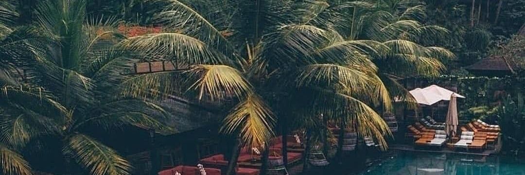 Musti_Spander's profile banner image