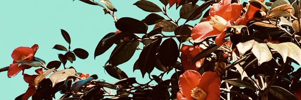 massaka5O Profile Banner