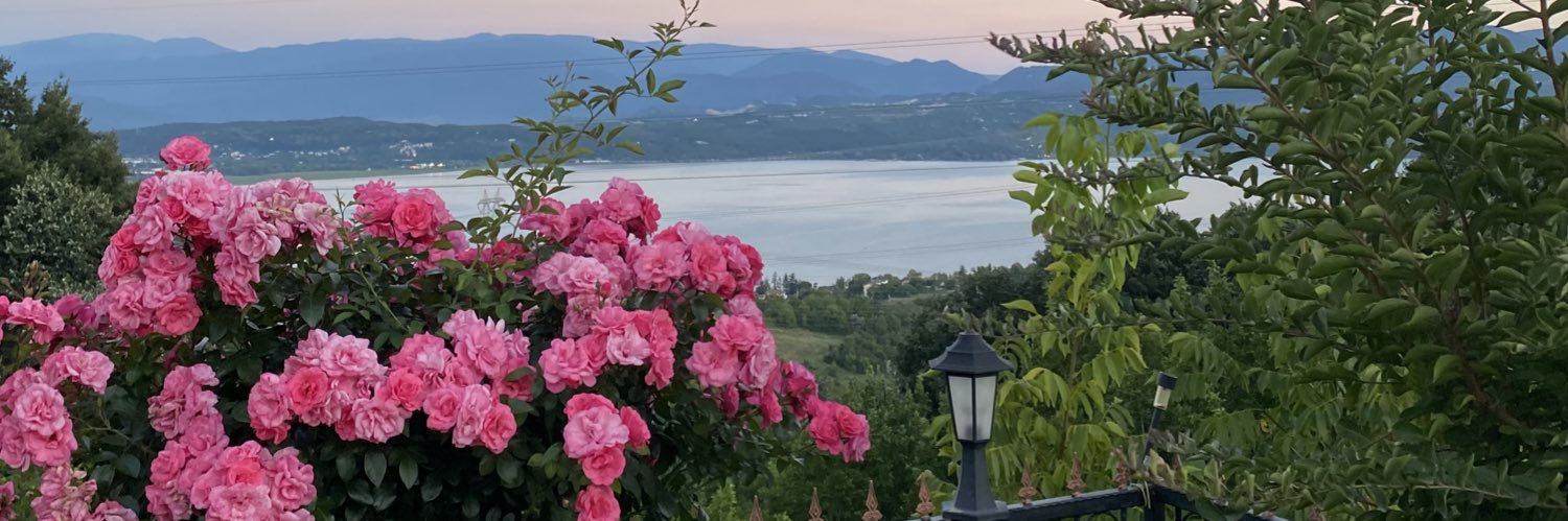 TatlZafer's profile banner image