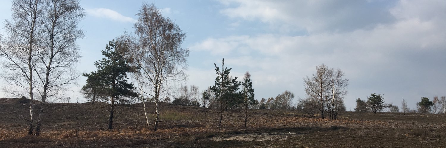 naturenotes's profile banner image