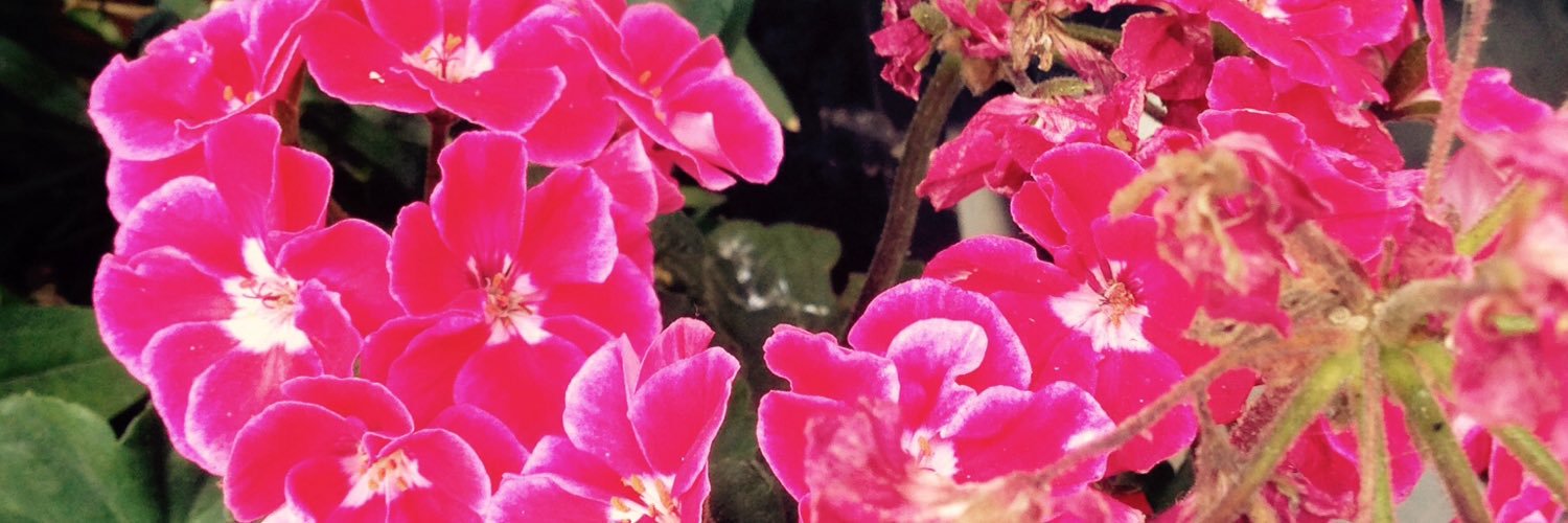 HeatherDoyle199's profile banner image