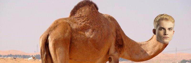 ferquelnabanie's profile banner image