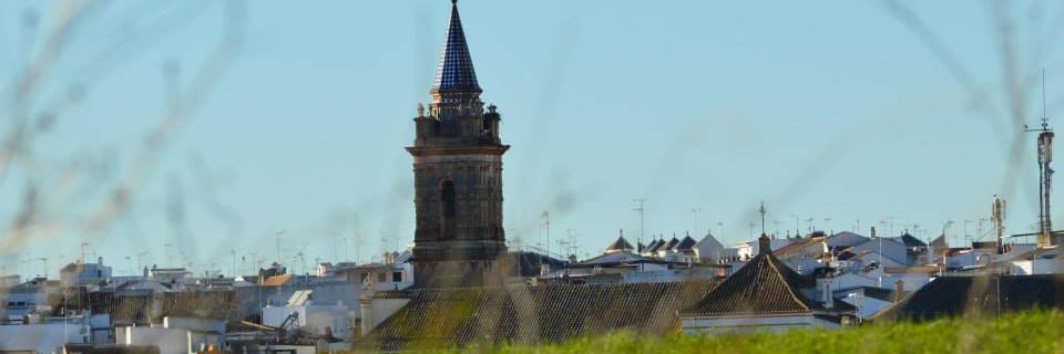 amanece44's profile banner image