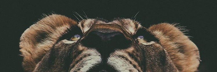 Busra_Tsn12's profile banner image