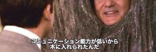 木 banner