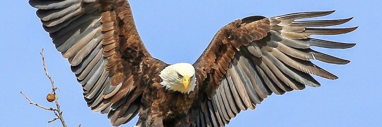 nickbolden's profile banner image