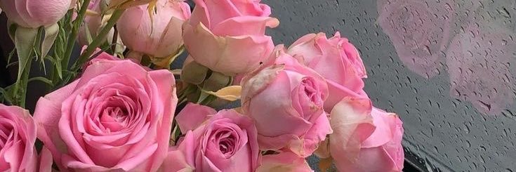 ellann388174's profile banner image