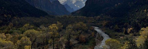 insightfulposts Profile Banner