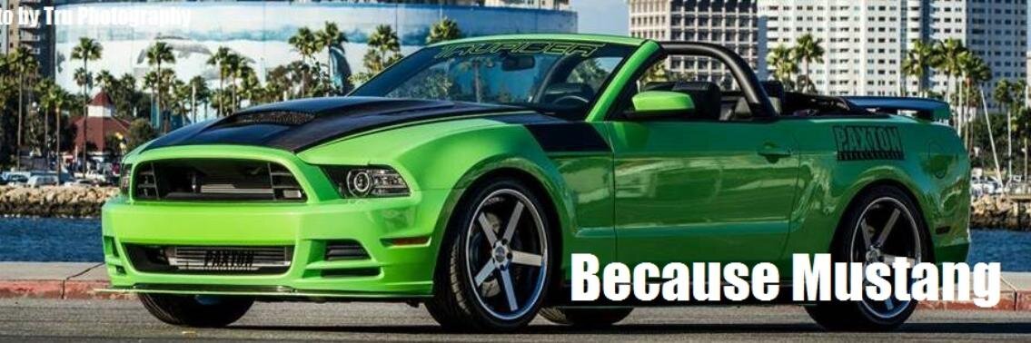 Because Mustang banner