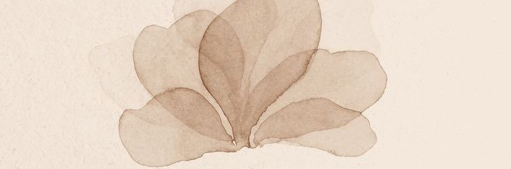 . banner