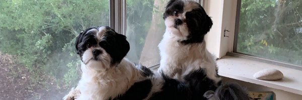 CamiMixa Profile Banner