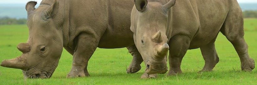 Jake Br😎 Jake banner