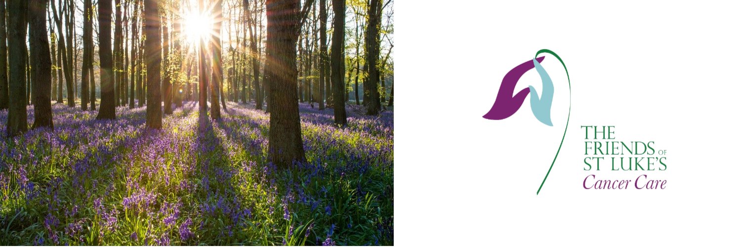 The Friends of St Luke's banner