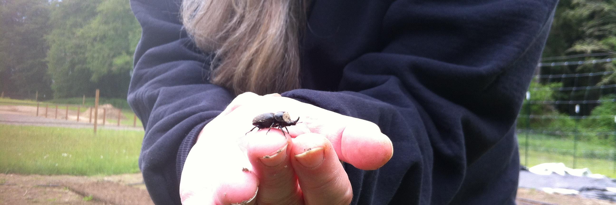 TinyFrighteningWoman banner