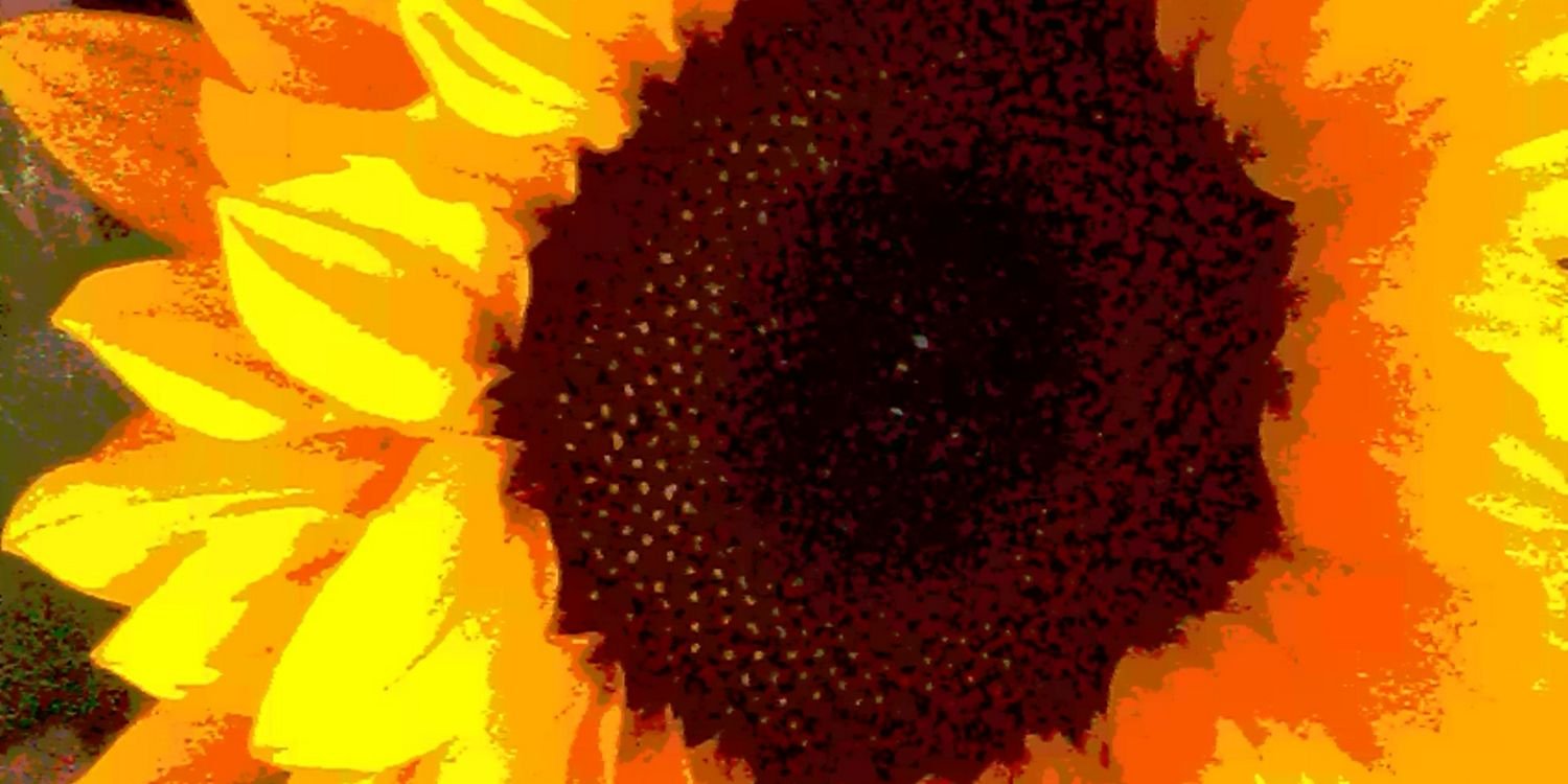 Project_toTal's profile banner image