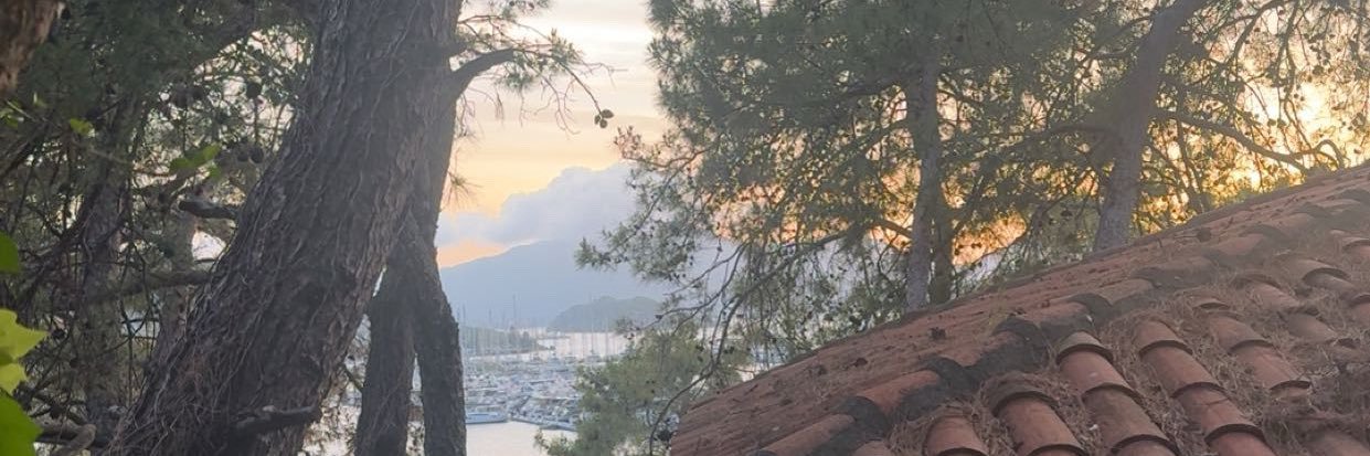 ࿔*:･Gee °❀⋆ banner
