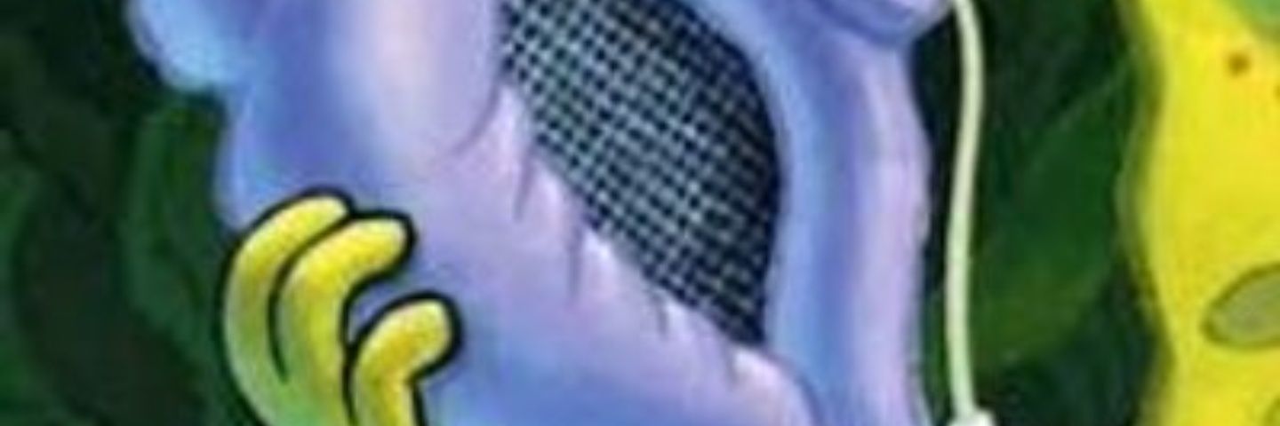 anwaarzz's profile banner image