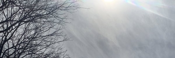 losthavens7 Profile Banner
